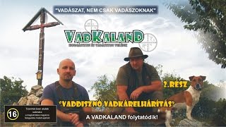 VADKALAND 2rész  Vaddisznó vadkárelhárítás Englishlanguage version of in the description [upl. by Irahk74]