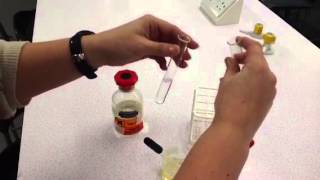 Test for Lipids [upl. by Ahtnamys598]