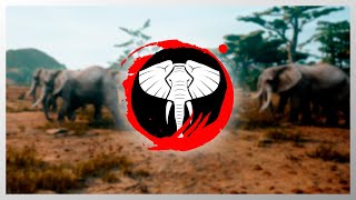 Animalia Survival  Elephant [upl. by Onitsuj91]