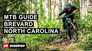 Mountain Biking in Brevard North Carolina  The Complete Guide  Local Flavors [upl. by Htidirrem]