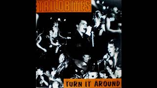 The Trilobites ‎– Turn It Around 1987 [upl. by Rekrap]