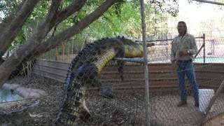 Malcolm Douglas Crocodile Park Broome Western Australia [upl. by Erej]