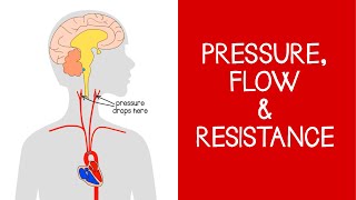 42 Cardiovascular Pressure Flow and Resistance [upl. by Fernandina]