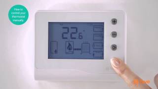 Hive  How To Control Your Thermostat Manually  Bord Gáis Energy [upl. by Adiuqram]