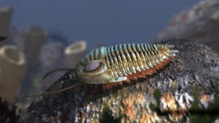 Fossil Digging for 500 Million Year Old Trilobites in Utah [upl. by Serafine]