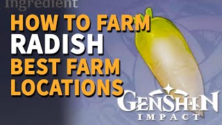 How to get Radish Genshin Impact [upl. by Spalla247]