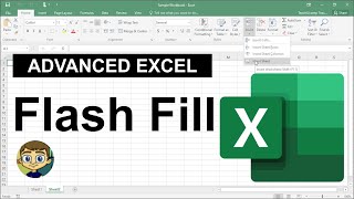 Advanced Excel  Flash Fill Tutorial [upl. by Arella]