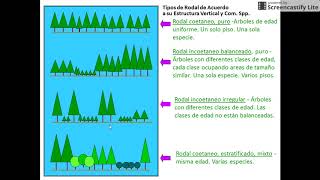 Conceptos básicos de silvicultura Parte I [upl. by Leahcimauhsoj]