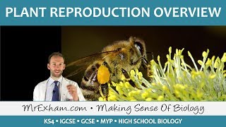 Plant Reproduction  Introduction and Overview  GCSE Biology 91 [upl. by Anelehs]