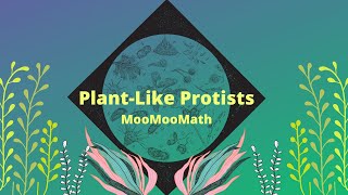 Plantlike Protists [upl. by Felizio789]