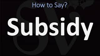 How to Pronounce Subsidy CORRECTLY [upl. by Sillsby]