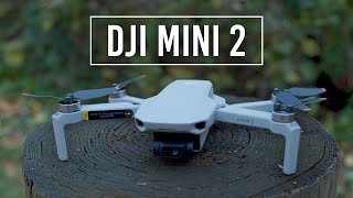 DJI Mini 2 Drone  Handson Review [upl. by Lahpos431]