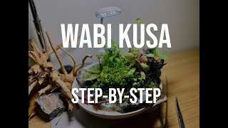 WABI KUSA STEPBYSTEP [upl. by Haelam]