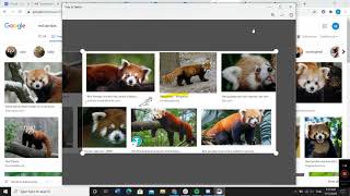 How to Use Snip amp Sketch for Windows 10 [upl. by Laurence359]