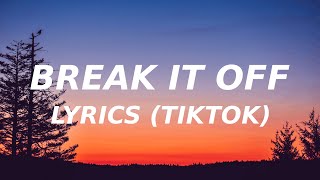 Break It Off  PinkPantheress Lyrics TikTok song one day i just wanna hear you say i like you [upl. by Hewes]