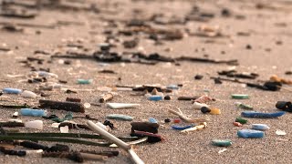 Microplastic pollution [upl. by Ierdna]