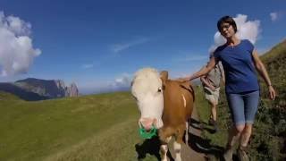 Seiser Alm  Rosszähne  Molignonpass  Dolomiten [upl. by Hertberg]