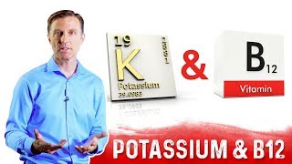 Potassium and Vitamin B12 Balance Explained by DrBerg [upl. by Vincentia]