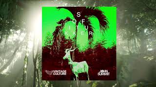 Sofi Tukker  Drinkee Vintage Culture amp John Summit Remix [upl. by Armilda]