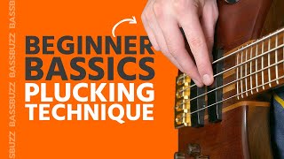 Basic Bass Plucking Technique Beginner Bass Basics [upl. by Allard]