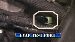 Wells Dodge EVAP Troubleshooting and Repair P0442 P0455 [upl. by Attehcnoc]