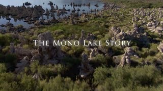 The Mono Lake Story [upl. by Arvind]