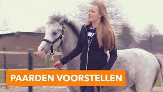 Paarden voorstellen met Esra  PaardenpraatTV [upl. by Semele]