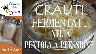 Crauti fermentati nella pentola a pressione [upl. by Pierce758]