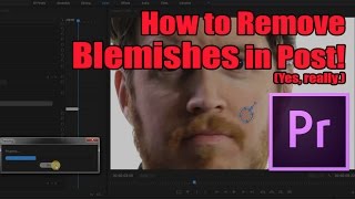 How to Remove BlemishesPimples in Premiere really  Tip Tuesday Episode 027 [upl. by Lind]