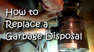 How to Replace a Garbage Disposal [upl. by Martainn]