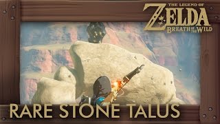 Zelda Breath of the Wild  All Rare Stone Talus Locations [upl. by Burd987]