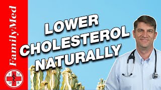 High Cholesterol  What All Patients Need to Know [upl. by Zashin]