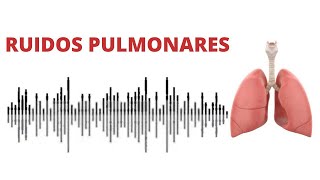 AUSCULTACIÓN PULMONAR ruidos normales y anormales [upl. by Rissa]