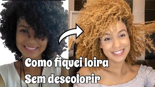 COMO FIQUEI LOIRA SEM DESCOLORIR O CABELO [upl. by Llennehc529]