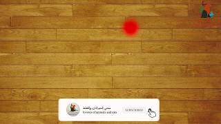 لعبة الليزر للقطط العاب للقطط CAT GAMES  LASER CHASER FOR CATS [upl. by Yatnohs]