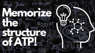 Biochemical Structure of ATP  MCAT [upl. by Anwahs78]