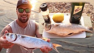 How To Catch Mullet Using A Float amp Bread  Catch N Cook [upl. by Ahtanaram]