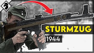 Germanys First Assault Rifle Units Explained [upl. by Amabel229]