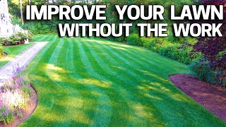 What HUMIC ACID can do for your LAWN [upl. by Ettenahc]