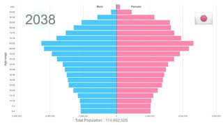 Japan Population Pyramid 19502100 [upl. by Aramas]