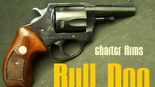 Charter Arms Bull Dog 44 Special [upl. by Faustine676]