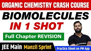 BIOMOLECULES in One Shot  Full Chapter Revision  Class 12  JEE Main [upl. by Oflunra]