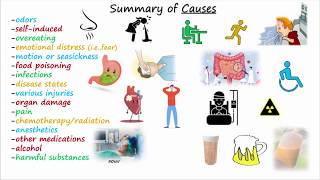 Antiemetics amp Antinausea Medications [upl. by Nannah873]