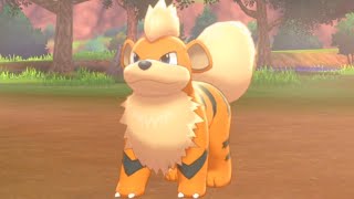 How to Catch GROWLITHE Hammerlocke Hills  Pokemon Sword amp Shield [upl. by Aretta]