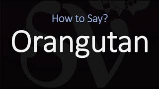 How to Pronounce Orangutan CORRECTLY [upl. by Reggis]