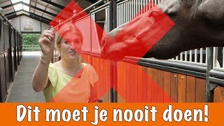 Doe dit NOOIT  PaardenpraatTV [upl. by Annala]