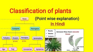 Classification of plants in Hindi  Cryptogam and Phanerogam plantclassification [upl. by Pernell]