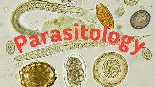 Introduction of Parasitology  Type of parasites and Host [upl. by Oedama675]