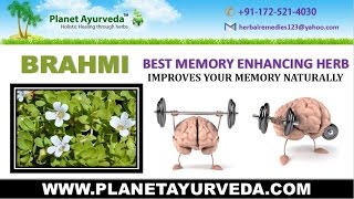 Brahmi Bacopa monnieri Benefits Properties Uses amp Side Effects [upl. by Schiff]