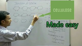 Polysaccharides structure  Cellulose [upl. by Siusan496]